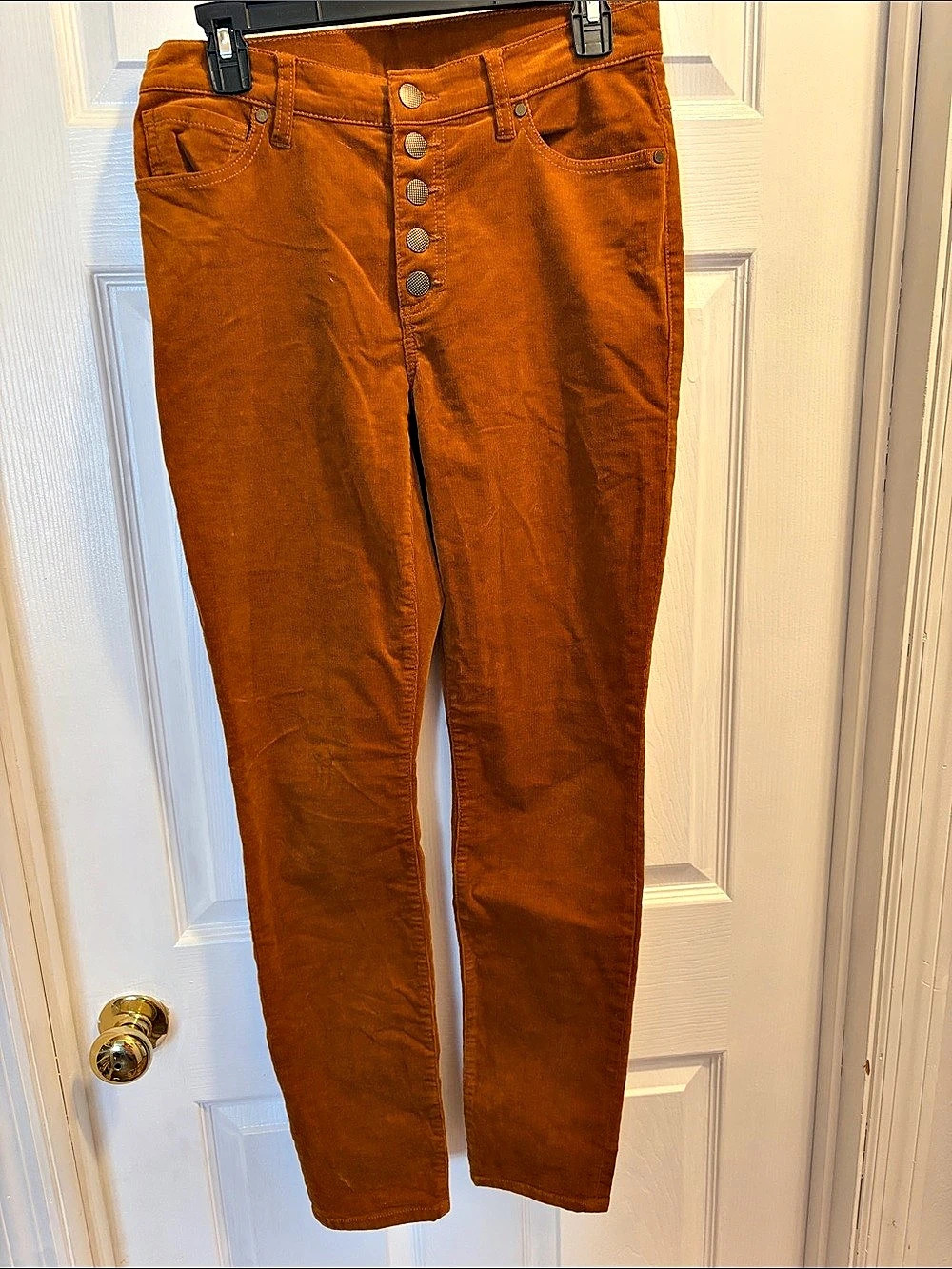 Cabi Pants 3927 Skinny Pants in Orange Size 6